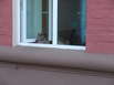 Ferienwohnung Minsk