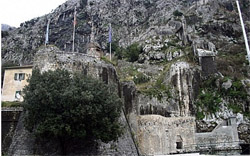 Kotor