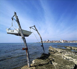 Umag