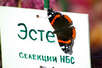 Botanischer Garten Nikita