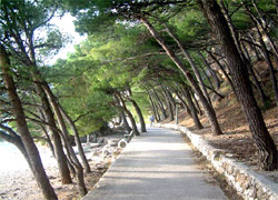 Brela, Punta Rata
