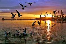 Abendstimmung Eupatoria