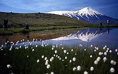 Tundra in Kamtschatka