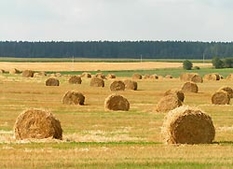 Polen