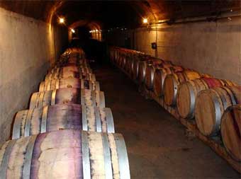 Georgischer Wein