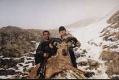 Jagd in Aserbeidschan