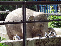 Zoo Kaliningrad