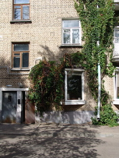 Bäume im Frühling von Minsk
