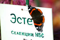 Botanischer Garten Nikita