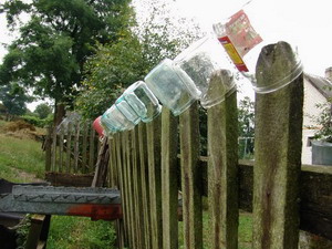 Vodkaflaschen auf dem Land
