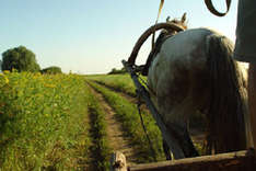 Transporte in Russland