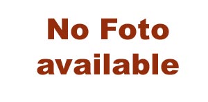 no foto