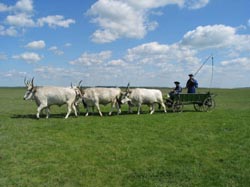 Agrotourismus in Ungarn