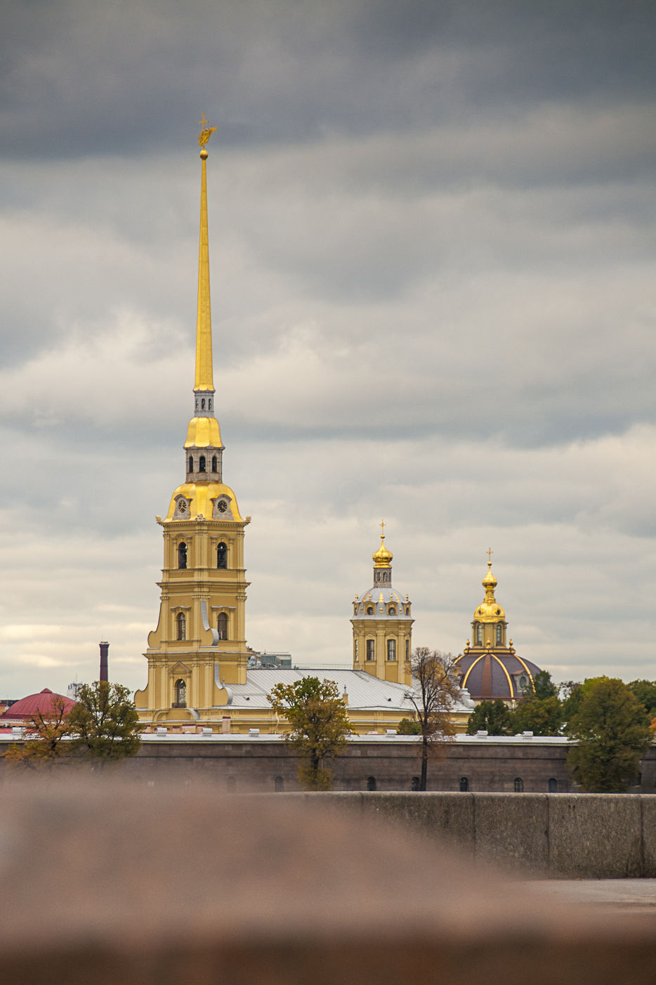 DSC_7350.jpg