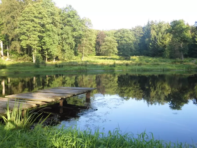 Ruhiger See mit Holzsteg und bewaldetem Ufer