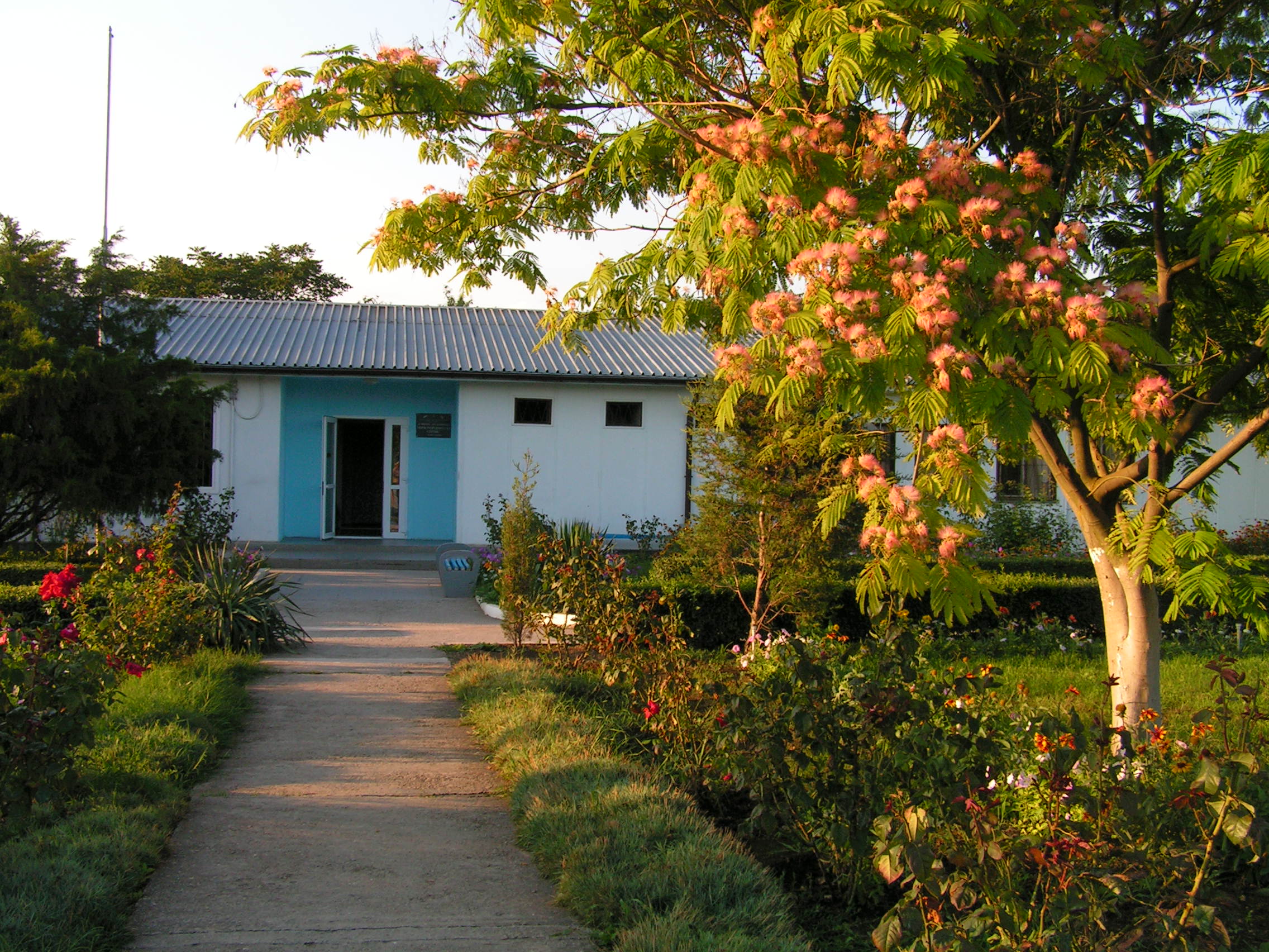 PICT0056.JPG