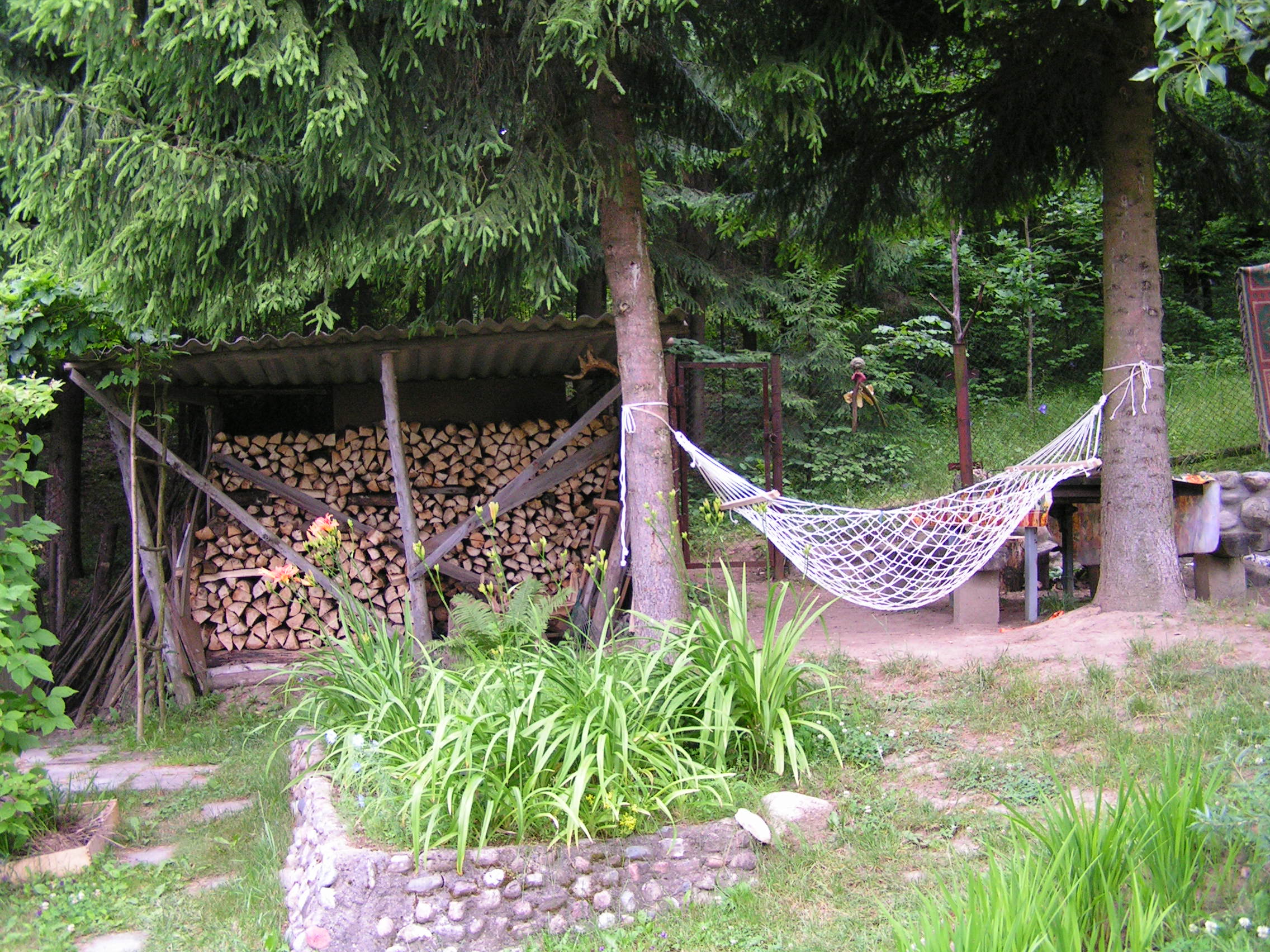 pict0061.JPG
