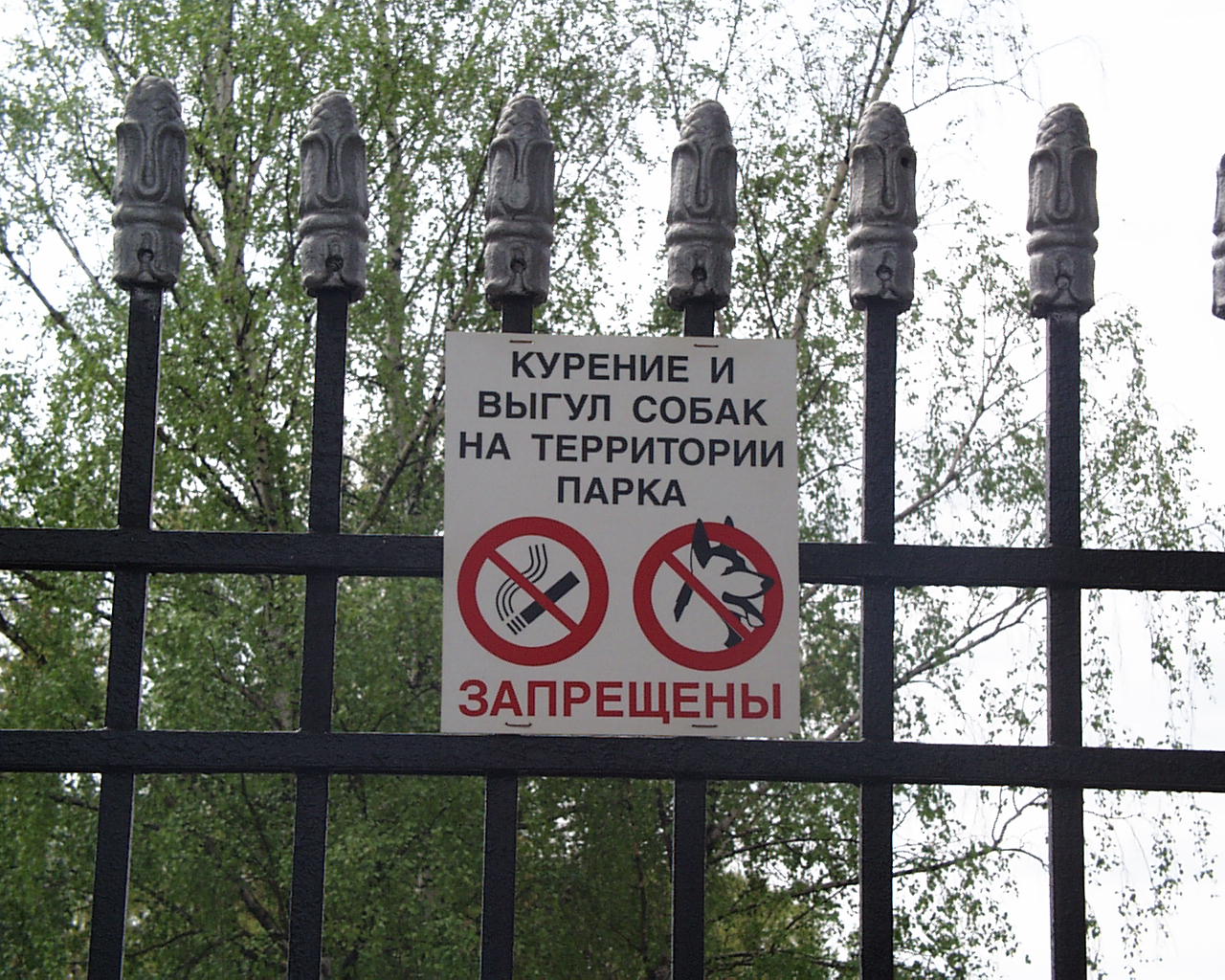 PIC00016.JPG