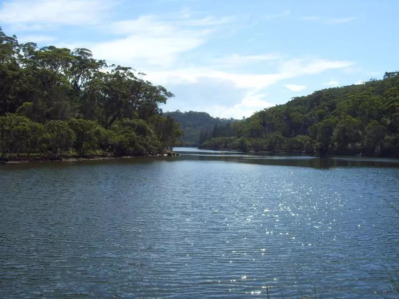 Fluss durch ein bewaldetes Tal