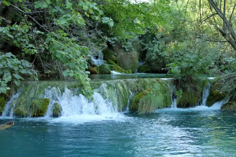 Kaskaden und türkisfarbenes Wasser im Wald
