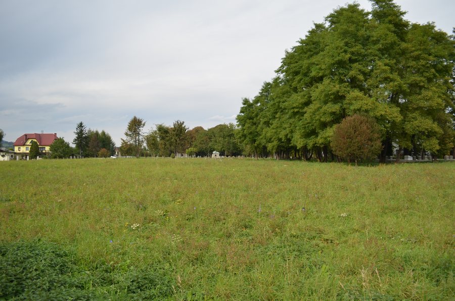 File:Nowy Sącz, cmentarz żydowski, kon. XIX 1.JPG