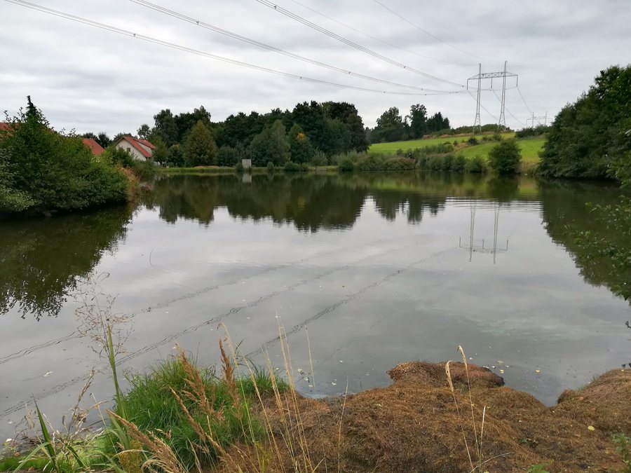 File:Zadní Zhořec - Běhalův rybník, obr01.jpg
