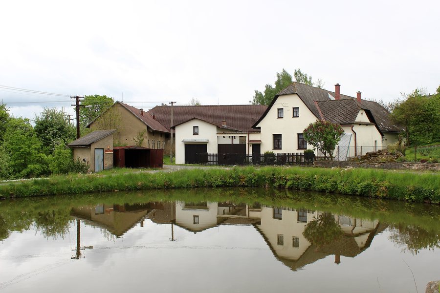 File:Velká Losenice, Pořežín, common pond.jpg