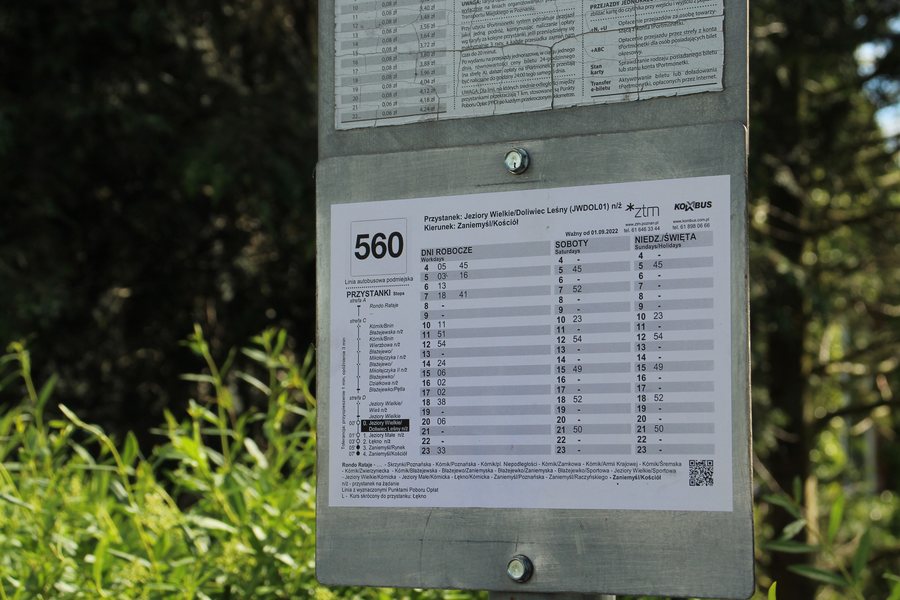 File:Jeziory Małe, Jeziory Wielkie Doliwiec Leśny bus stop, timetable, 2024.jpg