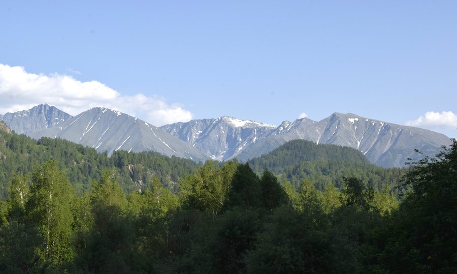 Katon Ridge, Altai mountains. Katon-Karagay, East Kazakhstan region. June 2025