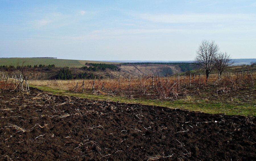 File:Orhei District, Moldova - panoramio.jpg
