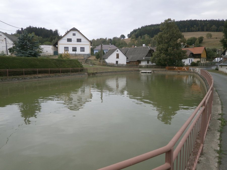 File:Javorek naves 1.jpg