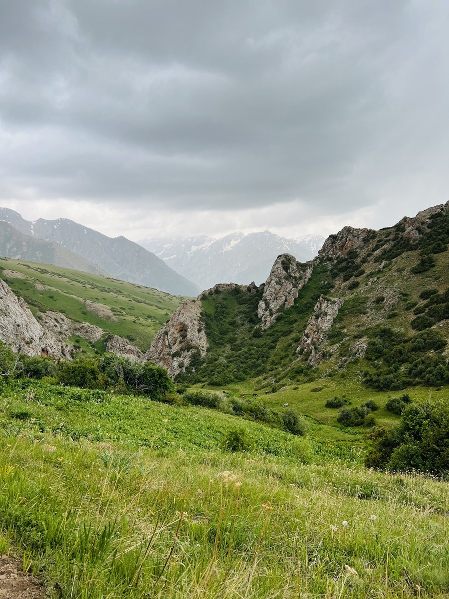 File:A part of Sayram Ugam national park called The Valley of the Ancestors, June 2025.jpg