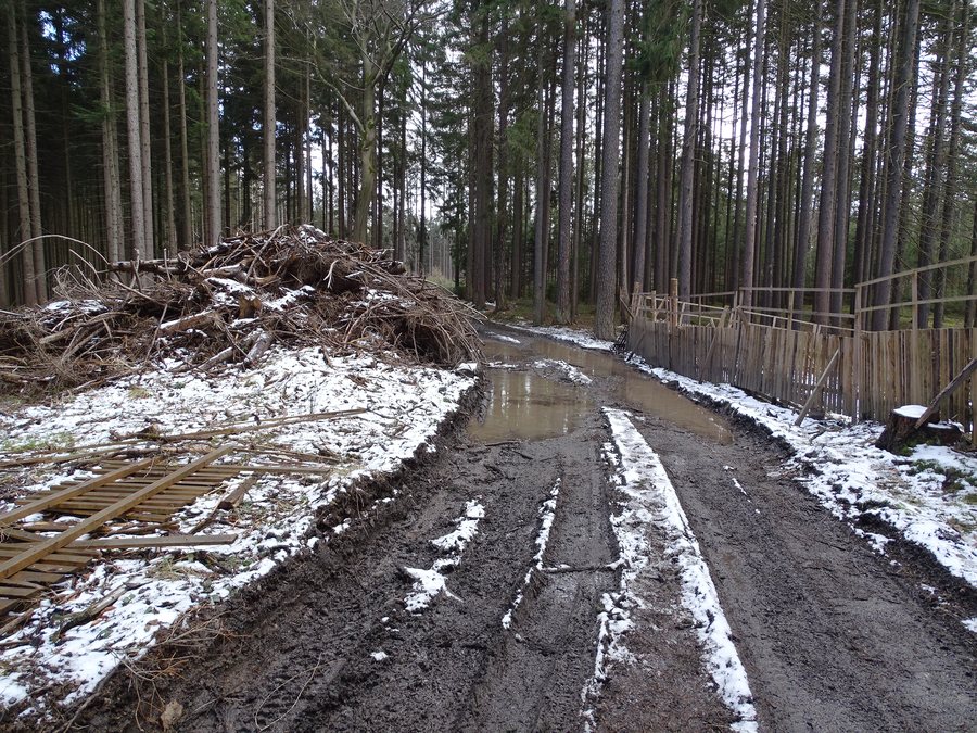 File:Dolní Sokolovec, cesta do Bílku.jpg