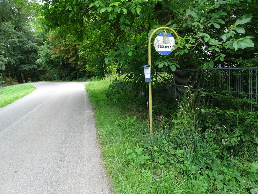 File:Nová Ves u Světlé, silnice 34738, zastávka Horní lesy (01).jpg