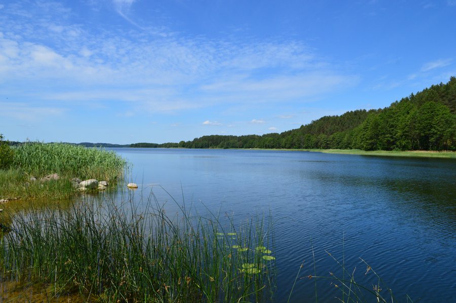 File:Palūšė 02.jpg