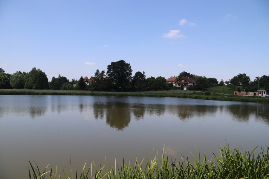 File:Overview 2 of pond Vybíral in Hvězdoňovice, Třebíč District.jpg