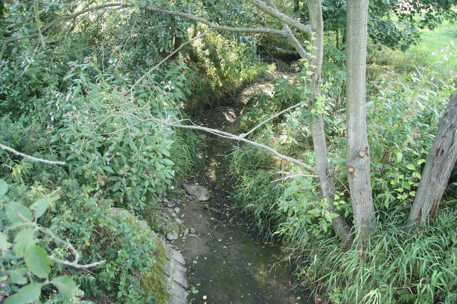 File:Dry Oslavička river near Velké Meziříčí, Žďár nad Sázavou District.JPG