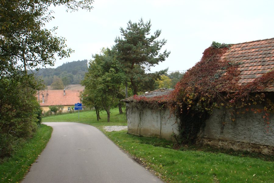 File:Bořkovice, cesta.jpg