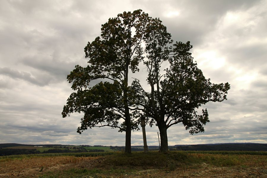 File:Boží muka, Pacov – Roučkovice (01).jpg