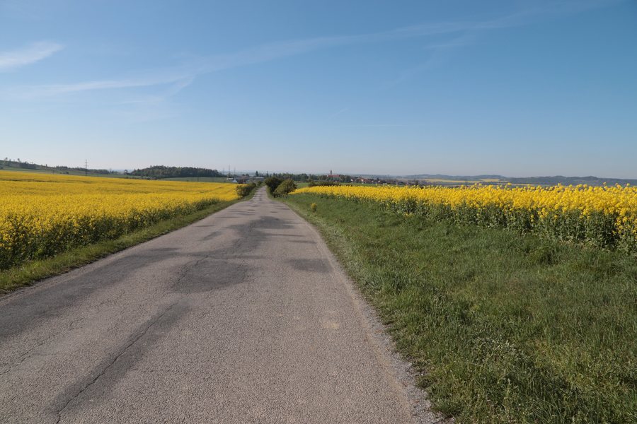 File:Overview 4 of road III 36073 near Horní Újezd, Třebíč District.jpg