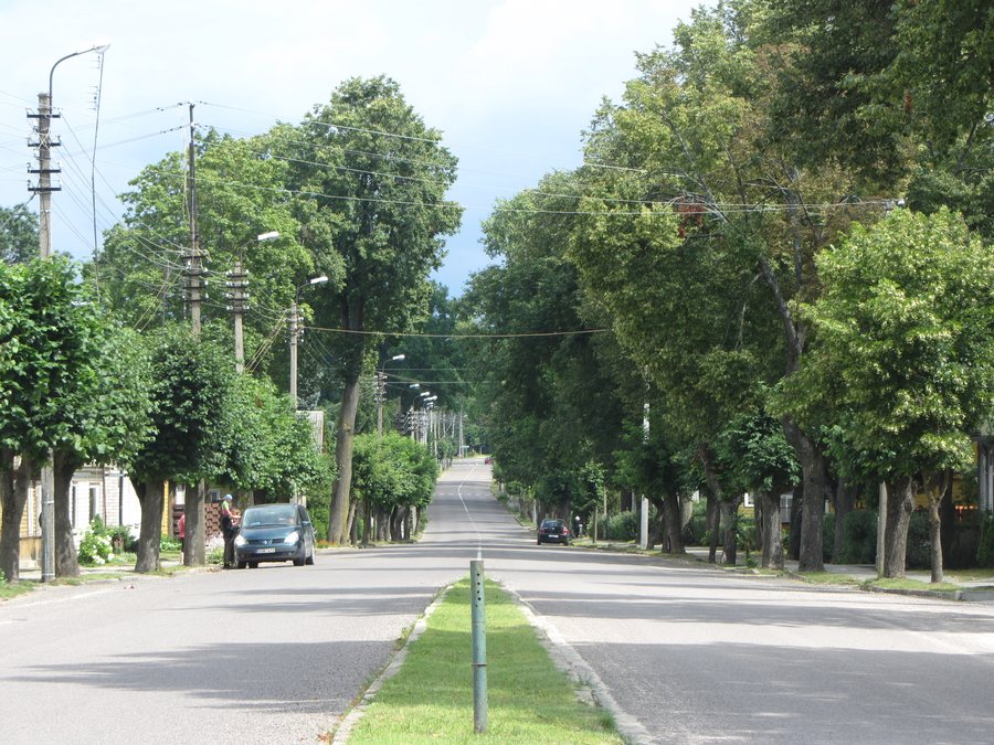 File:Dusetos, Lithuania - panoramio (14).jpg