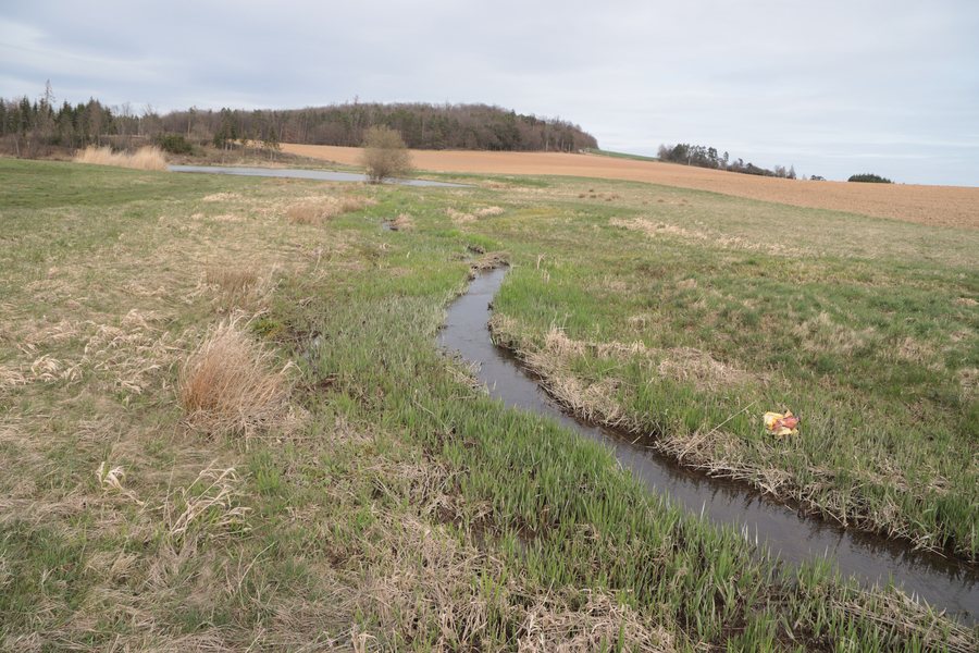 File:Overview of Báňovický potok near Pálovice, Třebíč District.jpg