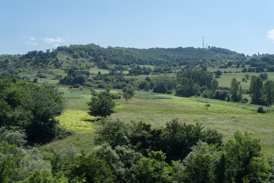 File:Nature of Imereti 2023-06-29-1.jpg