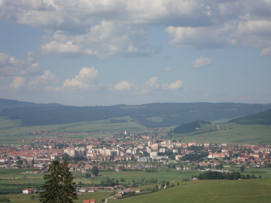 File:Municipiul Miercurea-Ciuc.jpg
