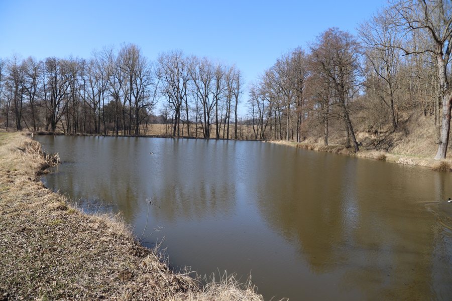 File:Overview of Brázdův rybník near Meziříčko, Třebíč District.jpg