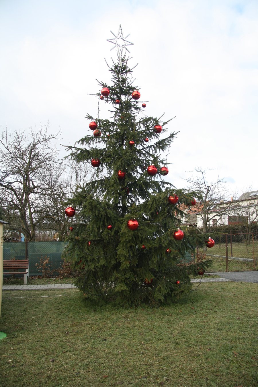File:Christmas tree in Číměř, Třebíč District.jpg