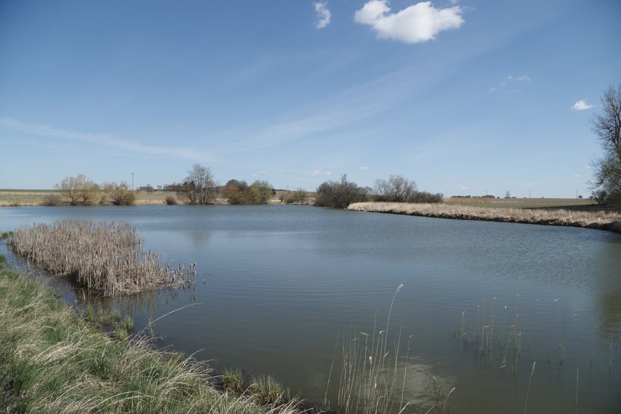 File:Overview of pond Sejto in Chlístov, Třebíč District.jpg
