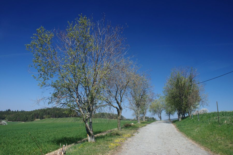 File:Vilice, cesta II.jpg