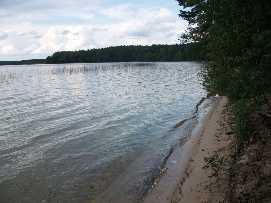 File:Belaye Lake, Myadzyel District - 1.JPG