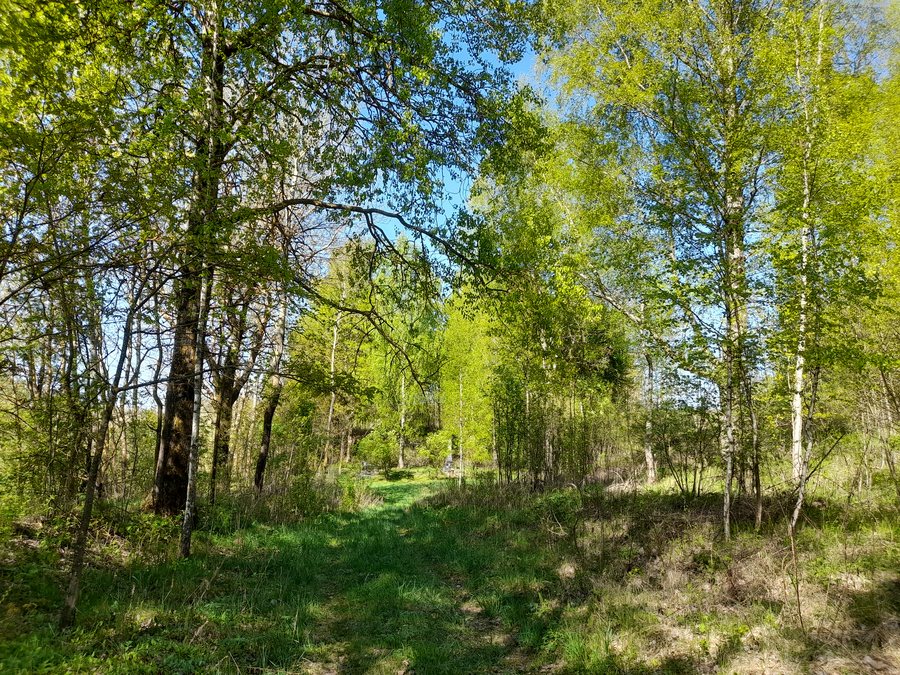File:Ghetto Lukoml (Vitebsk Region) 1a-01.jpg